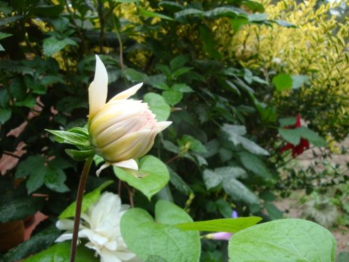 Fotografia de JARCA - Galeria Fotografica: Por ahi... - Foto: 