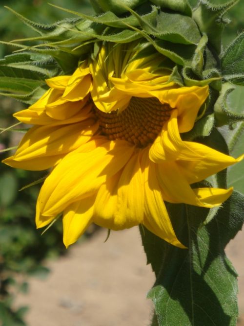 Fotografia de JARCA - Galeria Fotografica: Por ahi... - Foto: 