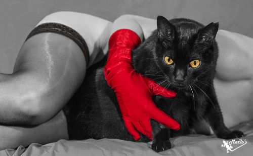 Fotografia de Mariosart - Galeria Fotografica: Fotografa de modelos y Light-Painting - Foto: 