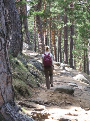 Fotografia de Jose Manuel Garc�a Rega�a - Galeria Fotografica: Fotos Varias - Foto: Mara