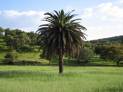 Fotografia de Jose Manuel Garc�a Rega�a - Galeria Fotografica: Fotos Varias - Foto: Ruta del puente de la boga�a