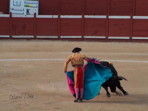 Fotografia de ALPI - Galeria Fotografica: Maestro de Maestros - Foto: 004