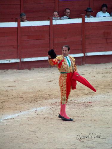 Fotografia de ALPI - Galeria Fotografica: Maestro de Maestros - Foto: 007