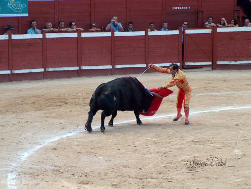 Fotografia de ALPI - Galeria Fotografica: Maestro de Maestros - Foto: 010