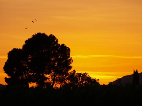 Fotografia de pepefas - Galeria Fotografica: viajes - Foto: atardecer Hellin