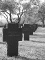 Fotos de Karlos J. Moreta. -  Foto: cementerio militar - 