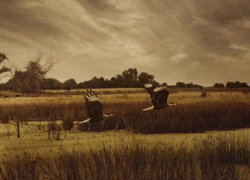 Fotografia de Adrin Markis Fotografa Publicitaria - Galeria Fotografica: Adrian Markis fotografas - Foto: Si, acepto!!