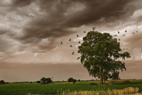 Fotografia de Adrin Markis Fotografa Publicitaria - Galeria Fotografica: Adrian Markis fotografas - Foto: Sin silencio