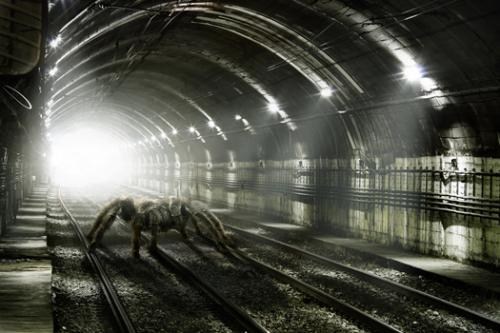 Fotografia de Adrin Markis Fotografa Publicitaria - Galeria Fotografica: Adrian Markis fotografas - Foto: Invasion