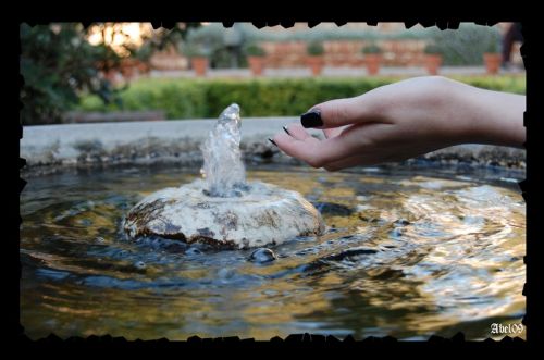 Fotografia de Abel - Galeria Fotografica: poesias de amor y muerte - Foto: life