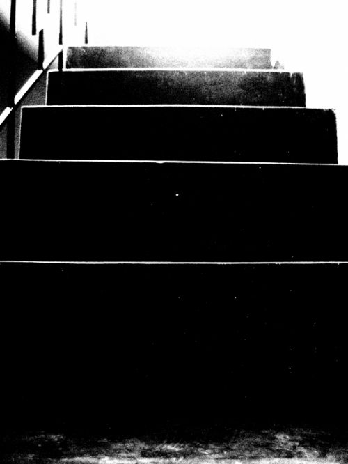 Fotografia de Gamaliel - Galeria Fotografica: A new awakening - Foto: 