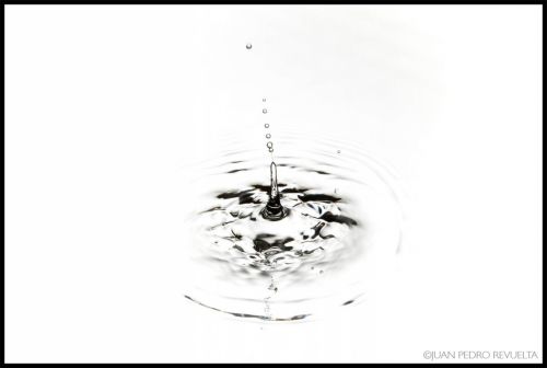 Fotografia de Aroma de la Luz - Galeria Fotografica: Producto y Bodegn - Foto: 