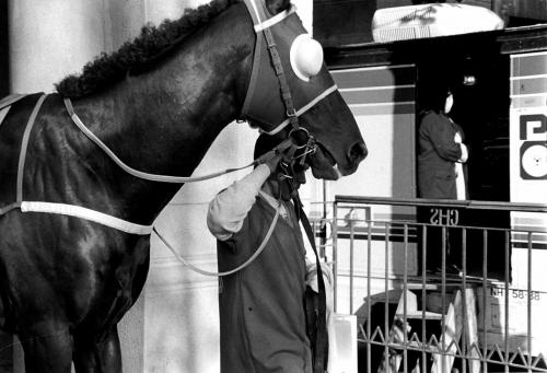 Fotografia de carlos ayala - Galeria Fotografica: Dale pingo!!! - Foto: 