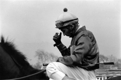 Fotografia de carlos ayala - Galeria Fotografica: Dale pingo!!! - Foto: 