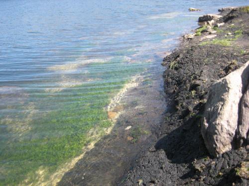 Fotografia de Edwin - Galeria Fotografica: Lakes and Clouds - Foto: Playa