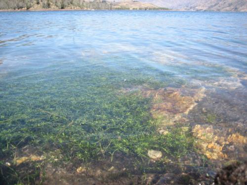 Fotografia de Edwin - Galeria Fotografica: Lakes and Clouds - Foto: Arena y Sol