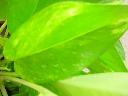 Fotografia de Perla Miranda - Galeria Fotografica: Cielo - Foto: hola