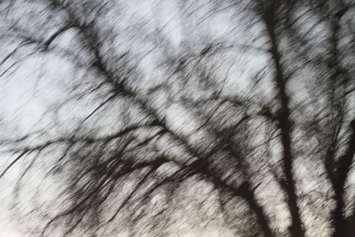 Fotografia de Carlos - Galeria Fotografica: Naturaleza de Calama - Foto: 