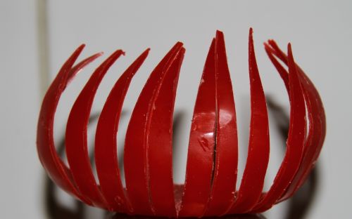 Fotografia de Carlos - Galeria Fotografica: Naturaleza de Calama - Foto: 