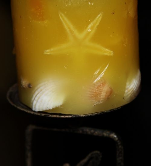 Fotografia de Carlos - Galeria Fotografica: Naturaleza de Calama - Foto: 