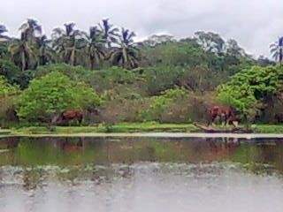 Fotografia de NAOMI - Galeria Fotografica: MIS PAISAJES - Foto: 