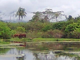 Fotografia de NAOMI - Galeria Fotografica: MIS PAISAJES - Foto: 