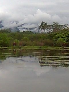 Fotografia de NAOMI - Galeria Fotografica: MIS PAISAJES - Foto: 