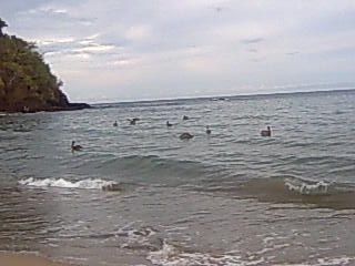 Fotografia de NAOMI - Galeria Fotografica: MIS PAISAJES - Foto: 