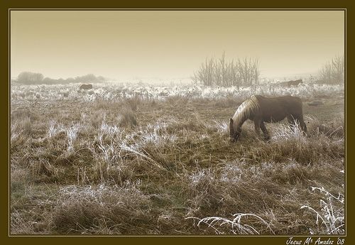 Fotografia de Chus - Galeria Fotografica: Imagenes variadas - Foto: 