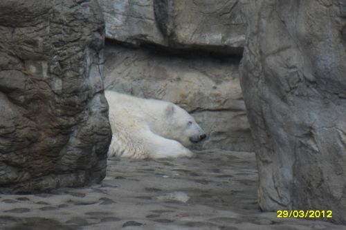 Fotografia de Adris - Galeria Fotografica: Mariposa - Foto: 