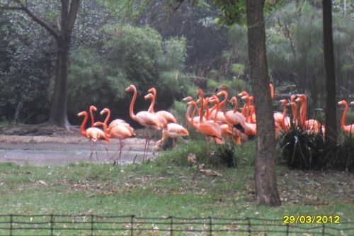 Fotografia de Adris - Galeria Fotografica: Mariposa - Foto: 