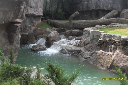 Fotografia de Adris - Galeria Fotografica: Mariposa - Foto: 