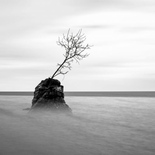 Fotografia de Nitgard / Nit Photography - Galeria Fotografica: Paisajes minimos - Foto: 