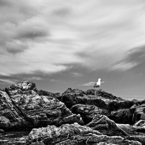 Fotografia de Nitgard / Nit Photography - Galeria Fotografica: Paisajes minimos - Foto: 