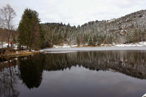 Fotografia de lala1973 - Galeria Fotografica: VIAJE POR BERGEN Y COPENHAGEN - Foto: EL LAGO HELADO