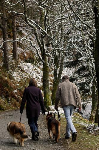 Fotografia de lala1973 - Galeria Fotografica: VIAJE POR BERGEN Y COPENHAGEN - Foto: PASEOS DE ENSUEO