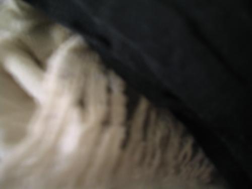 Fotografia de Sin Nombre - Galeria Fotografica: BONNI- M - Foto: NO TODO LO QUE PARECE ES... NI TODO LO QUE ES PARE