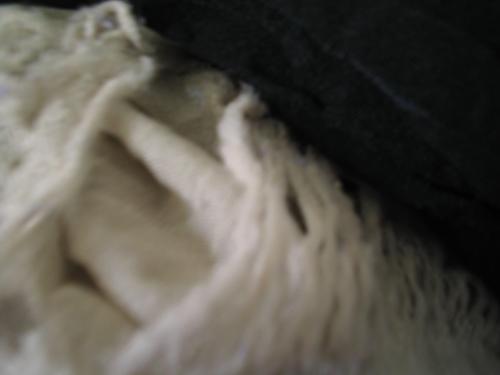 Fotografia de Sin Nombre - Galeria Fotografica: BONNI- M - Foto: NO TODO LO QUE PARECE ES... NI TODO LO QUE ES PARE