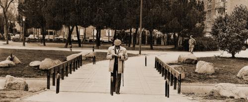 Fotografia de Pilar - Galeria Fotografica: Madrid - Foto: Parque