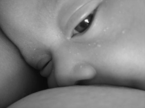 Fotografia de Stephanie - Galeria Fotografica: La reina - Foto: 