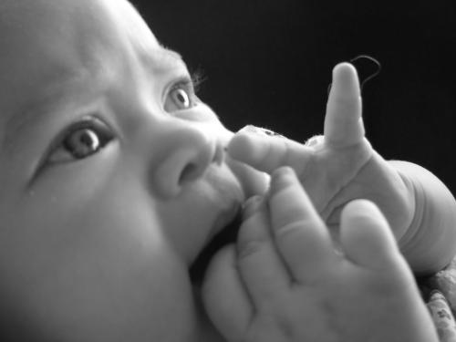 Fotografia de Stephanie - Galeria Fotografica: La reina - Foto: 