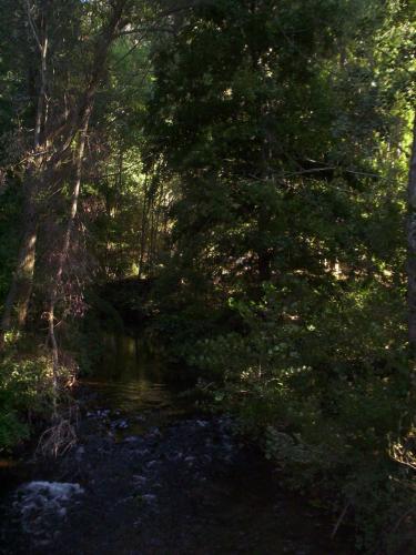 Fotografia de Miki - Galeria Fotografica: Primavera - Foto: 