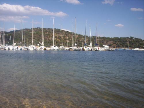 Fotografia de Miki - Galeria Fotografica: Primavera - Foto: 