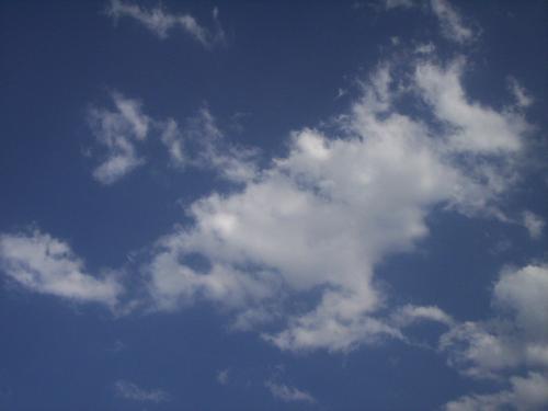 Fotografia de Miki - Galeria Fotografica: Primavera - Foto: 