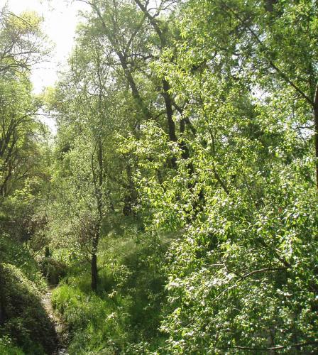 Fotografia de Miki - Galeria Fotografica: Primavera - Foto: 