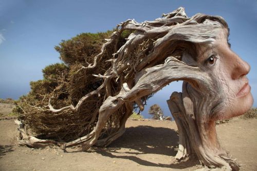 Fotografia de Foto Estudio Arte - Galeria Fotografica: Fantas�a - Foto: 