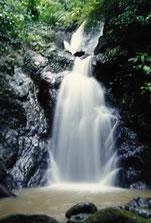 Fotografia de oscar martinez celis - Galeria Fotografica: colombia - Foto: selva