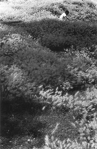 Fotografia de CHRISTIAN DE LA HUERTA - Galeria Fotografica: M E X I C O - Foto: EL MUCHACHO,  ARRIBA