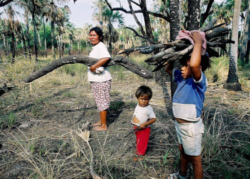 Fotografia de Amadeo Velazquez - Galeria Fotografica: Pueblo indigena Enxet-Paraguay - Foto: Madera para el fuego
