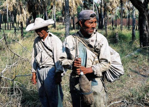 Fotografías mas votadas » Autor: Amadeo Velazquez - Galería: Pueblo indigena Enxet-Paraguay - Fotografía: por el bosque